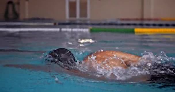 Adaptive amputee swimmer swimming in indoor pool Royalty Free Stock Footage