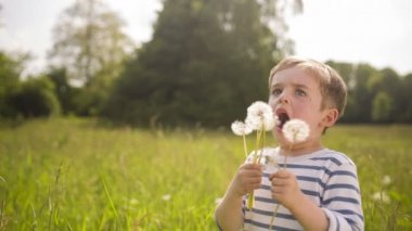 a kisfiú fúj sok pitypang a parkban