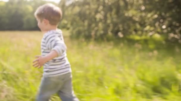 Little boy having fun with confetti in park — Stock Video