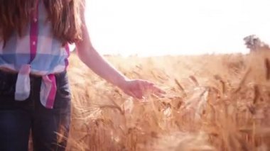 buğday alanları üzerinden yürüyen kız