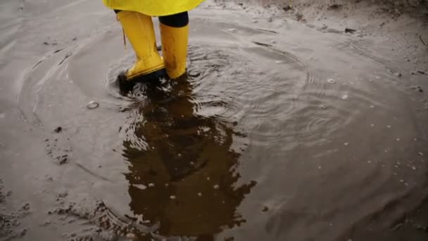 Jonge jongen wandelen in modderige Plas — Stockvideo