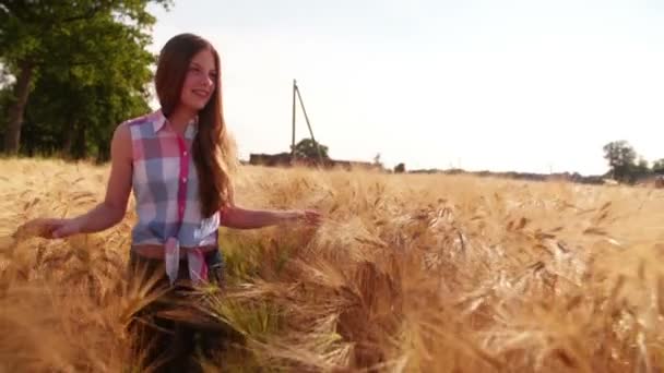 Chica joven caminando a través de campos de trigo — Vídeo de stock