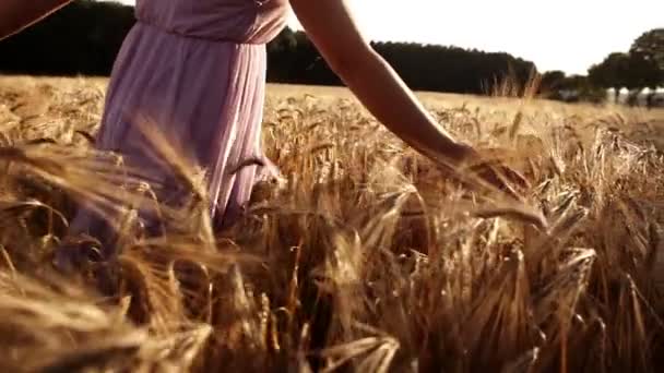 Vrouw lopen door tarweveld — Stockvideo