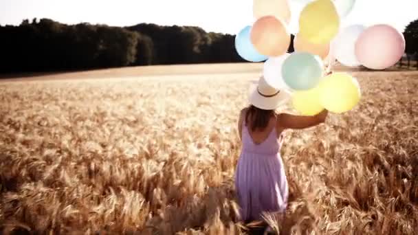 Chica caminando a través del campo de trigo — Vídeos de Stock