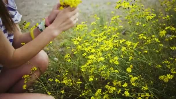 Menina colhendo flores — Vídeo de Stock