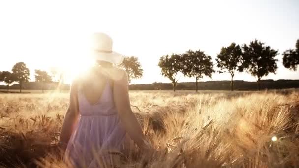 Mujer caminando a través del campo de trigo — Vídeo de stock