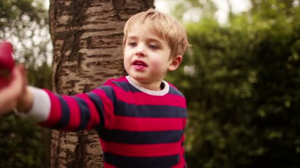 Jeune garçon mangeant des fraises — Video