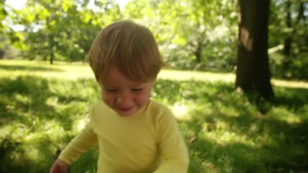 少年が公園を探る — ストック動画