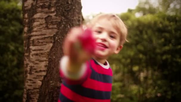 Jeune garçon montre la fraise à la caméra 