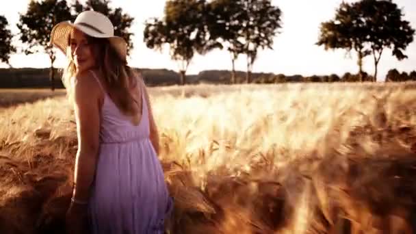 Mujer caminando a través del campo de trigo — Vídeos de Stock