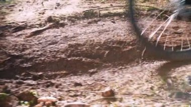 ormandaki yokuş aşağı motorcu