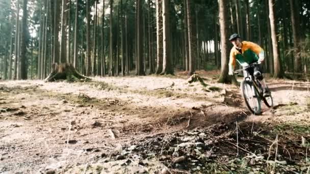 Даунхілл велосипедист в лісі — стокове відео