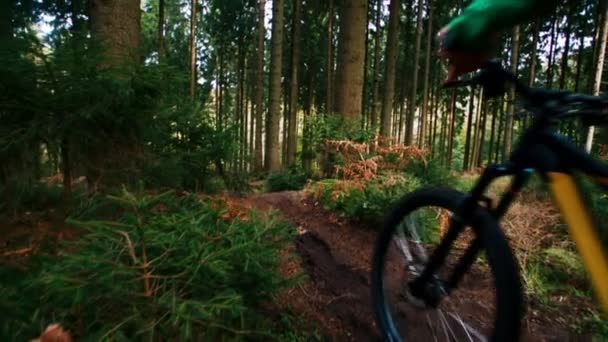 Ciclista de descenso en el bosque — Vídeo de stock