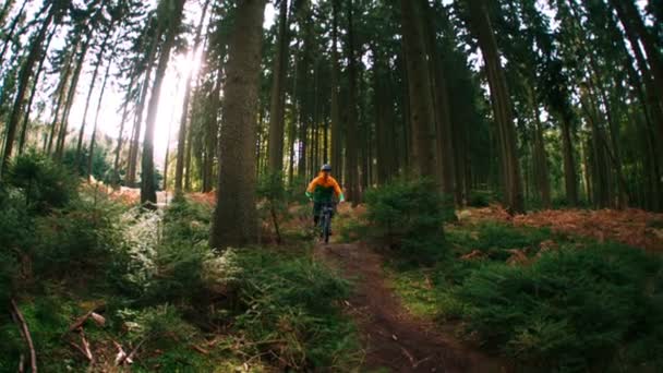 Downhill biker in the forest — Stock Video