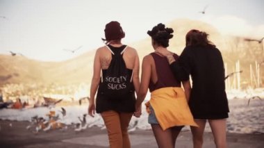 Kız arkadaşlar birlikte bir Harbor'da yürüyüş