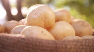 Güneş patlaması ile patates çuvalı