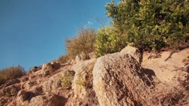 Bir kir iz sürme Mountainbiker