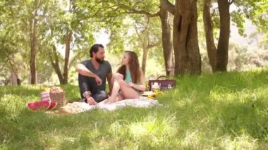 пара займається пікнік у парку
