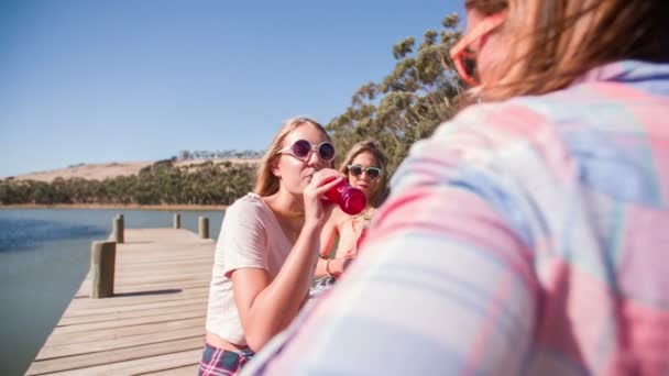 Teen girls drinking lemonade together — Stock Video