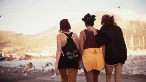 Amigos de chicas caminando juntos en un puerto — Vídeos de Stock