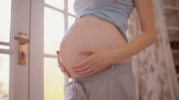 Mulher grávida em pé na janela — Vídeo de Stock