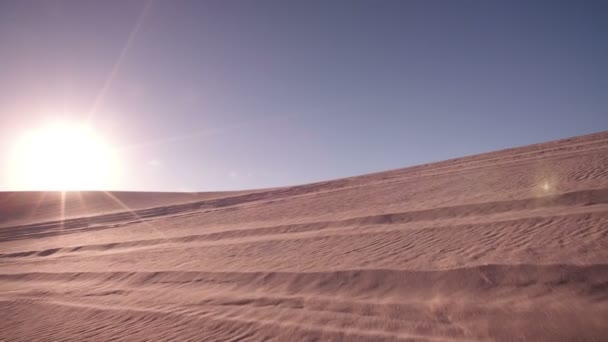 Quad motociclista no deserto corrida — Vídeo de Stock