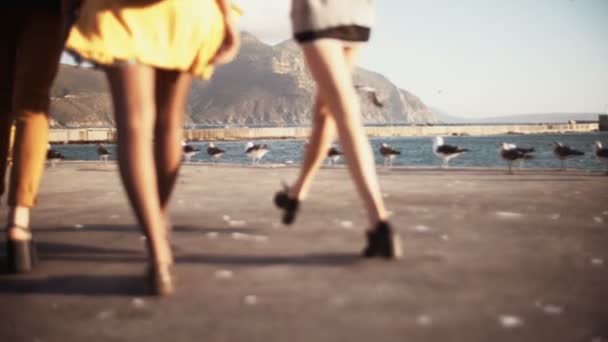 Kız arkadaşlar birlikte bir Harbor'da yürüyüş — Stok video