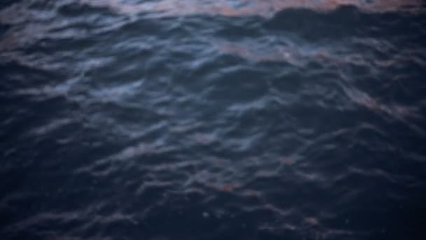 Ondes océaniques au ralenti 