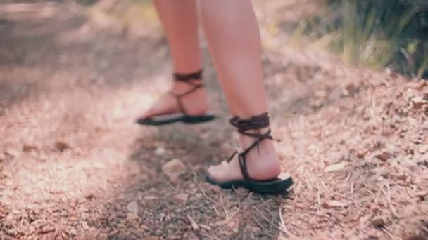 Mädchen geht im Wald spazieren — Stockvideo