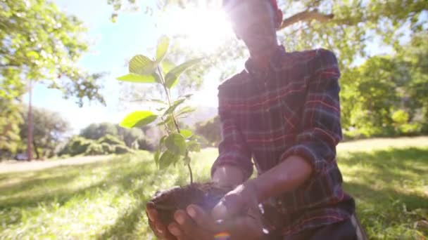 Boer aanplant nieuwe boom — Stockvideo