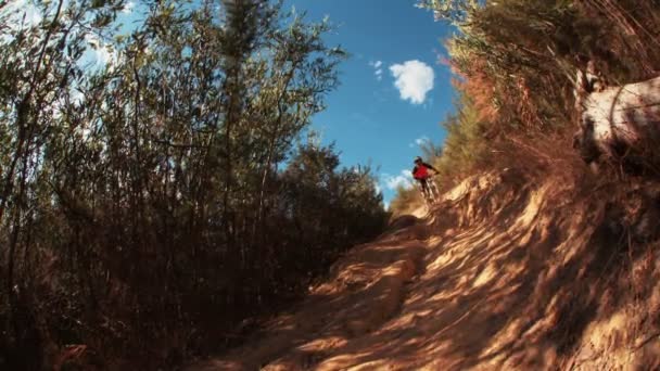 Mountainbiker rijden naar beneden trail — Stockvideo