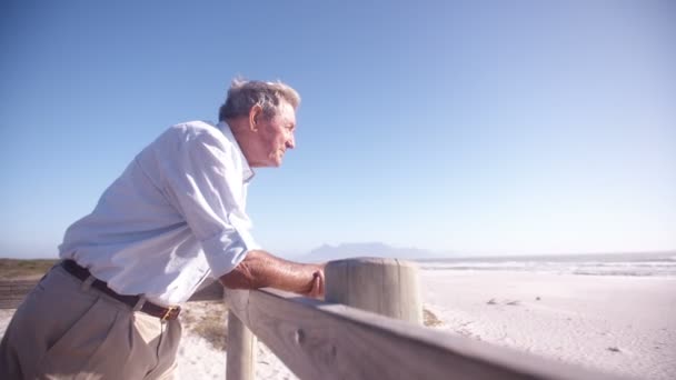 Äldre pensionerad man på stranden — Stockvideo