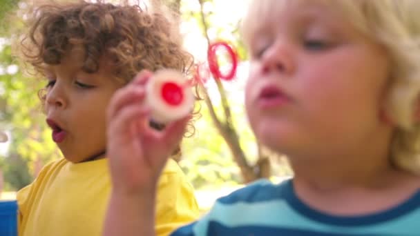 Kinderen die blazen van zeepbellen in een park — Stockvideo