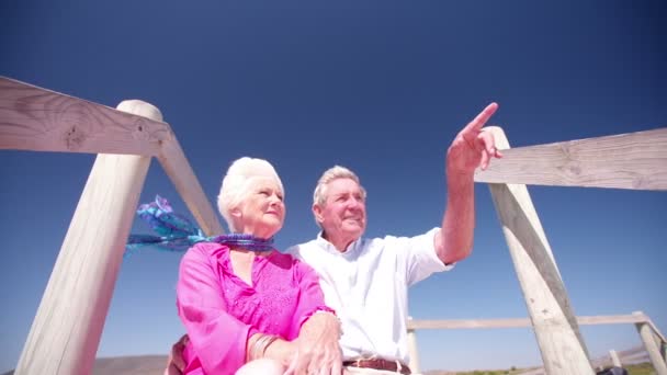 Ευτυχισμένο ζευγάρι συνταξιούχων που μιλάμε στην παραλία — Αρχείο Βίντεο