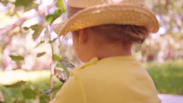 Toddler with a magnifying glass in a park — Stock Video