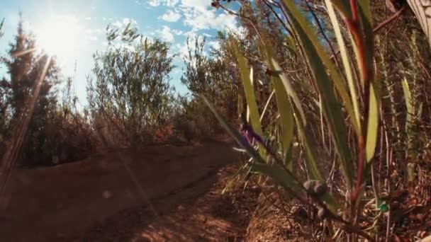 Montanha motociclista montando em um caminho de terra — Vídeo de Stock