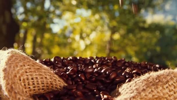 Coffee beans falling into bag — Stock Video