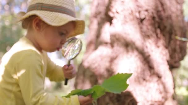 Niño pequeño con una lupa en el parque — Vídeos de Stock