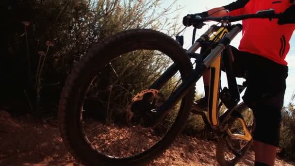 Bicicleta de montaña con jinete en un sendero — Vídeo de stock