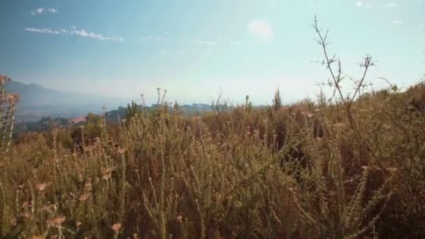 Montanha motociclista montando um caminho de terra — Vídeo de Stock