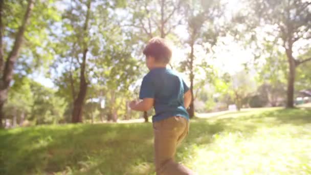 Маленький хлопчик біжить полем — стокове відео