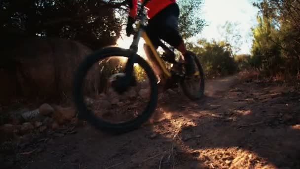 Mountainbike-cyklist ridning på en smuts sökväg — Stockvideo