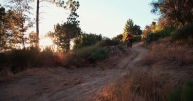 Bir orman iz sürme Mountainbiker