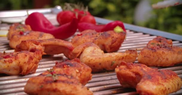 Asas de frango picantes sendo grelhadas em um churrasco — Vídeo de Stock