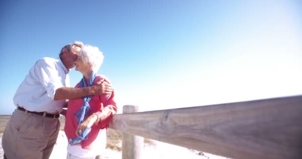 Loving retired senior couple together at the beach — Stock Video