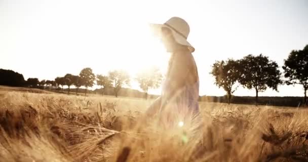Girl walks through wheat field — Stock Video