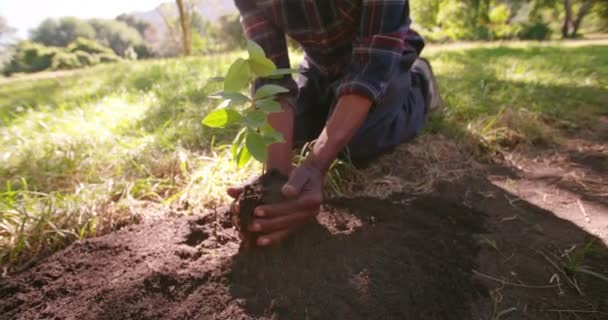 Landwirt pflanzt neuen Baum — Stockvideo