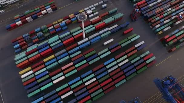 Frachtcontainer im Hamburger Hafen — Stockvideo