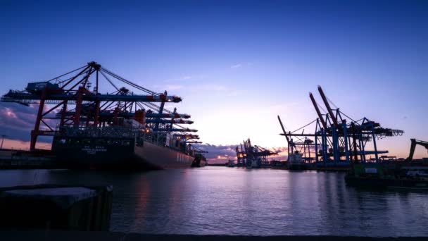 Timelapse de conteneur portuaire la nuit — Video