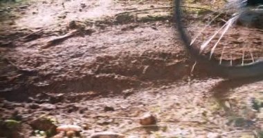 Orman yolda sürme Mountainbiker